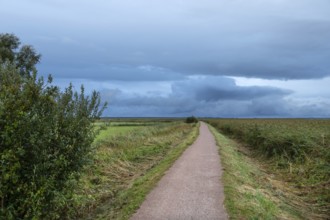 Hiking trail through the lagoon landscape, rain clouds (Nimbostratus), Ahrenshoop, Darß,
