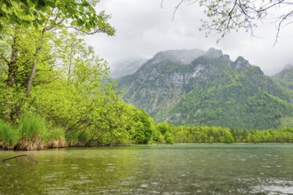 Landscape of Lake Offensee on a rainy day in spring, Salzkammergut, Austria