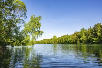 Landscape of a little lake on a sunny day in spring, Upper Palatinate, Bavaria, Germany