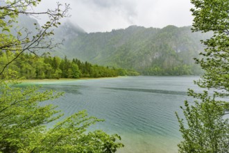 Landscape of Lake Offensee on a rainy day in spring, Salzkammergut, Austria