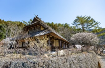 Iyashinosato open-air museum, old Japanese village with traditional houses, Fujikawaguchiko, Saiko,