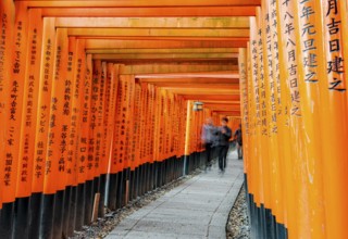 Visitors on a journey through hundreds of red traditional torii gates, Fushimi Inari-taisha, Shinto