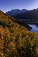 Mountain landscape, mountain lake, larch forest, autumn, autumn color, morning light, sunny, aerial
