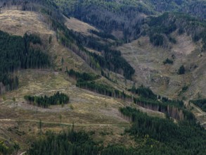 Logging, clearing, clearcut, timber industry, logging, mountain landscape, aerial view, autumn,
