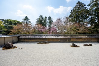 Kare-san-sui Japanese rock garden, Hojo Teien in Ryoan-ji, Zen Buddhist temple complex, in spring,