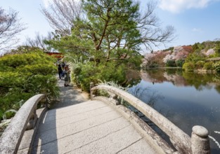 Bridge over Kyoyochi Pond in Japanese Garden, blooming cherry trees, Ryoan-ji, Zen Buddhist temple