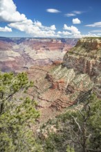 Beautiful landscape of the grand canyon, arizona