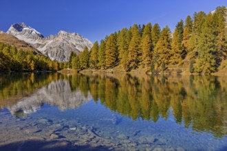 Mountain lake, reflection, mountains, larch forest, autumn discoloration, autumn, sunny, Lake