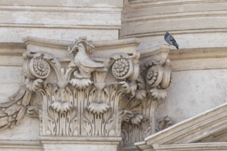Feral dove (Columba livia) adult bird on a building with a peace dove bird sculture in the city of