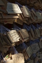 Ema, small wooden tablets with wishes and prayers, hung so that the Kami spirits or gods can
