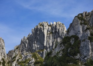 Rock formation on Scharfen, Postalm, Osterhorn Group, Salzkammergut, Province of Salzburg, Austria