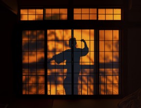 Shadows of a woman in kimono, on the balcony behind sliding shoji doors in a traditional Japanese