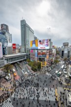 Modern houses with colorful neon signs and large road intersection, Shibuya Crossing from above,