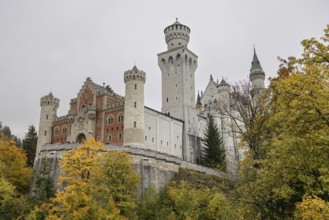 Neuschwanstein in autumn, Schwangau, Füssen, Allgäu, Bavaria, Germany
