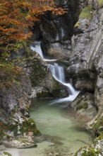 Stream in autumn in the Nothklamm, Gams, Palfau, Hieflau, Styria, Austria