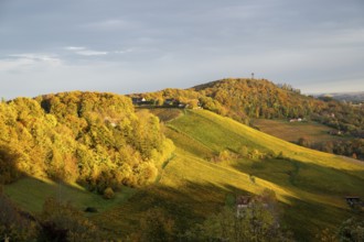 Typical landscape in autumn with vineyards, South Styrian hills, South Styrian wine route, Styria,