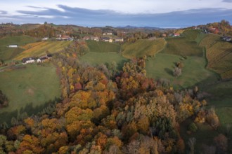 Aerial view, typical landscape in autumn with vineyards, South Styrian hills, South Styrian wine