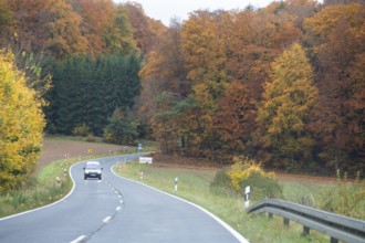 Mixed forest in autumn colors in Franconia on the B2 Nuremberg-Bayreuth, Upper Franconia, Bavaria,