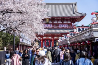 View of numerous visitors on Nakamise-dori shopping street with Hozomon Gate of Asakusa Shrine or
