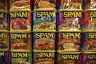 Austin, Minnesota - The SPAM Museum. SPAM is a lunch meat made of pork and ham, canned by Hormel