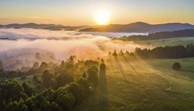 Sunrise over a fog covered village in a rural landscape, golden morning light, serene autumn