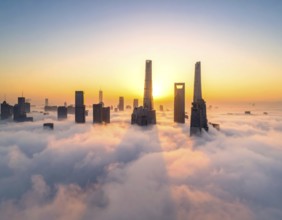City scape emerging from a dense enveloping fog in sunrise and skyscrapers piercing the haze, big