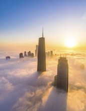 City scape emerging from a dense enveloping fog in sunrise and skyscrapers piercing the haze, big