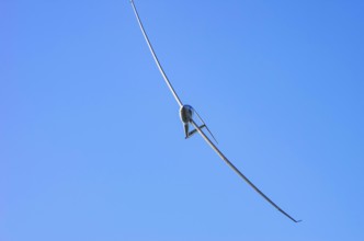 A Schempp-Hirth Arcus E motor glider, registration D-KWKU, during a screening as part of an air