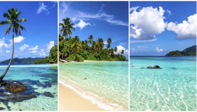 Collage of tropical islands with beach and palm trees, paradise with blue cloudy sky, turquoise
