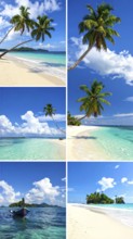 Collage of tropical islands with beach and palm trees, paradise with blue cloudy sky, turquoise