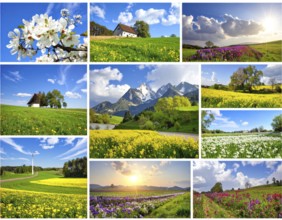 Collage of spring and summer landscapes, blooming flowers, green meadows and trees, hilly landscape