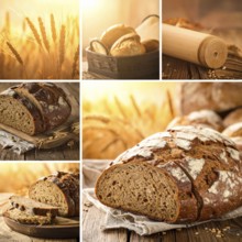 Collage of rustic loaf of whole grain bread, bread on dark rustic wooden table, great variety of