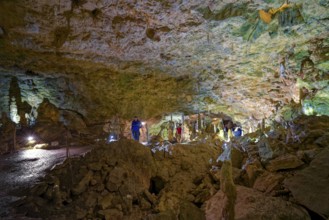 Nebelhöhle, stalactite cave in the Swabian Jura, stalactites, stalactite forest, interior view,