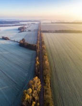 Bird Eye Perspective of Frost Covered Farmland. Seasonal Agricultural Scenery, winter and autumn
