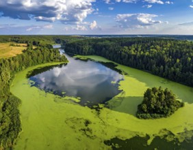 Green algae on the lake. Aerial view of nature, landscape with hills and forest in summer, cloudy