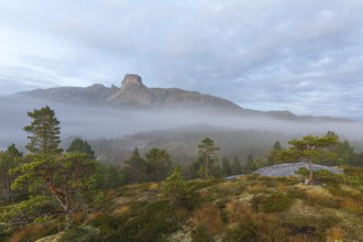 Magical morning fog on Steigtindvatnet in front of the majestic Steigtinden in Norway near Bodø