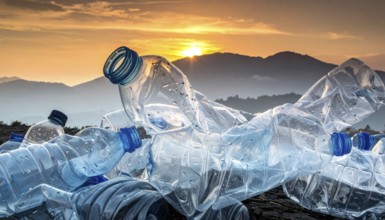 Crushed plastic water bottle waste in a wild landscape, symbol for nature protection, waste