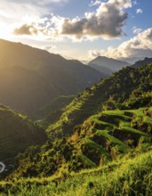 Early morning light bathes Philippines rice terraces cascading down mountain slopes, beautiful