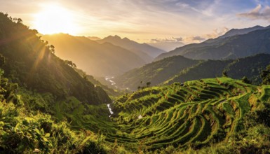 Early morning light bathes Philippines rice terraces cascading down mountain slopes, beautiful