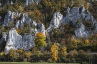 Distinctive Jurassic limestone cliffs in the upper Danube Valley, surrounded by autumn vegetation,