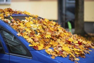 A car is covered with a thick layer of autumn leaves in autumn, Wuppertal, Germany