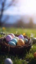 Nest with easter eggs in a basket on grass, sunny spring day, fresh beautiful landscape at