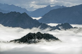 View from the Nebelhorn summit to mountains of the Allgäu Alps, mountains rising from fog in the