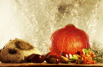 Autumn still life with pumpkin, sunflowers, chestnuts, October, Germany