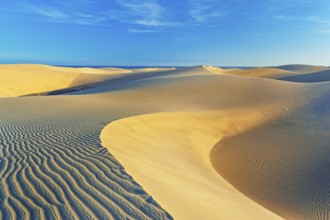 Sand dunes, Maspalomas, Playa del Ingles, Gran Canaria, Canary Islands, Spain