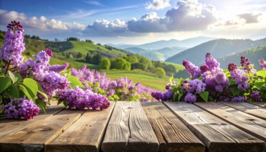 Beautiful Spring Lilacs Bloom Over Wooden Table with Rolling Hills in Background, sunrise at
