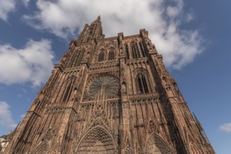 Strasbourg's Notre Dame Cathedral stands majestically there. Its magnificent architectural details