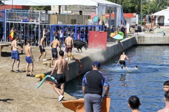 Bous a la Mar Fair, in English Bulls in the Sea, Bullfighting, Javea or Xàbia, Alicante Province,