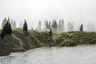 Seealpsee, Allgäu Alps, Nebelhorn, Oberstdorf, Oberallgäu, Allgäu, Bavaria, Germany