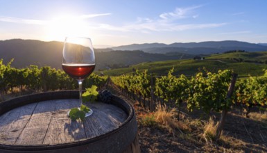 A glass of 10-year-old tawny wine placed on a barrel in a vineyard restaurant, vineyard landscape